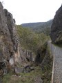 0110-1548 Yarrangobilly caves (1106167)